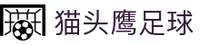 猫头鹰足球_app下载中心